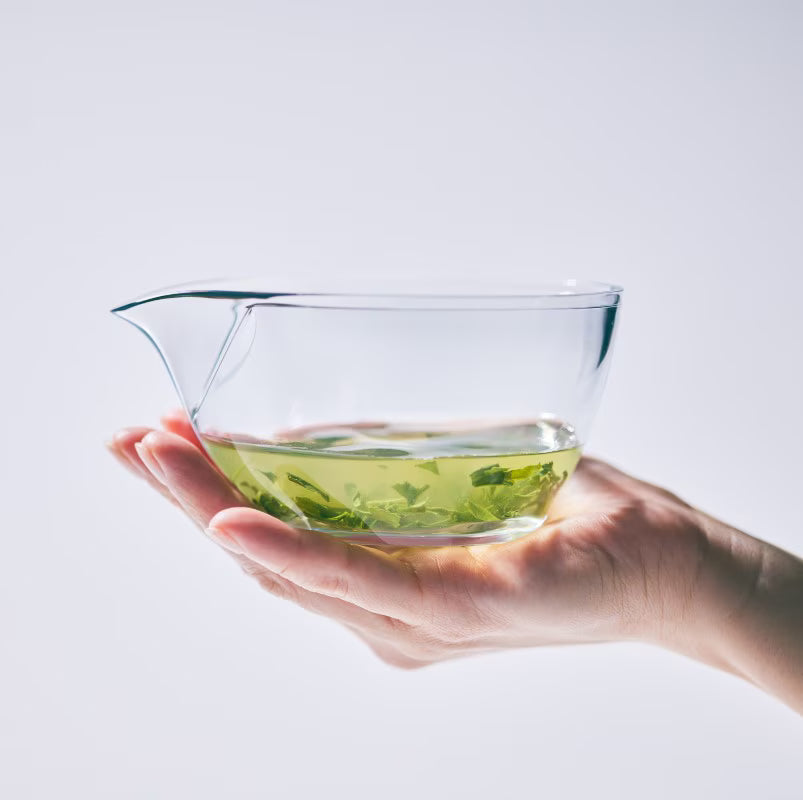 Chasta - Tritan Japanese Teapot