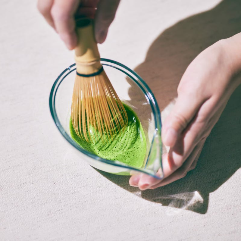 Chasta - Tritan Japanese Teapot