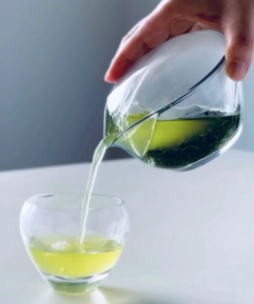 Chasta - Tritan Japanese Teapot