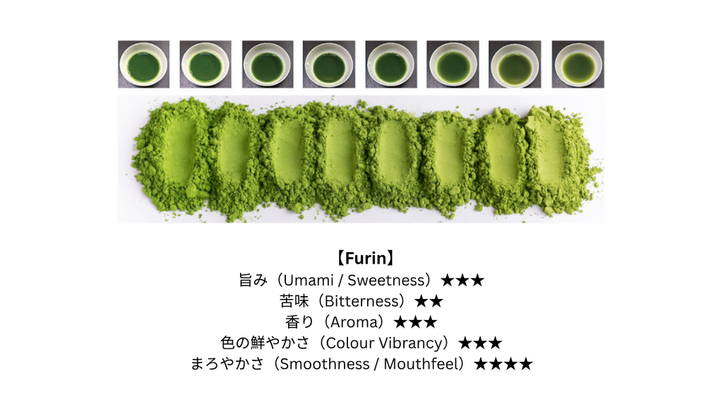 Ceremonial and Latte Matcha - Furin (風凛)