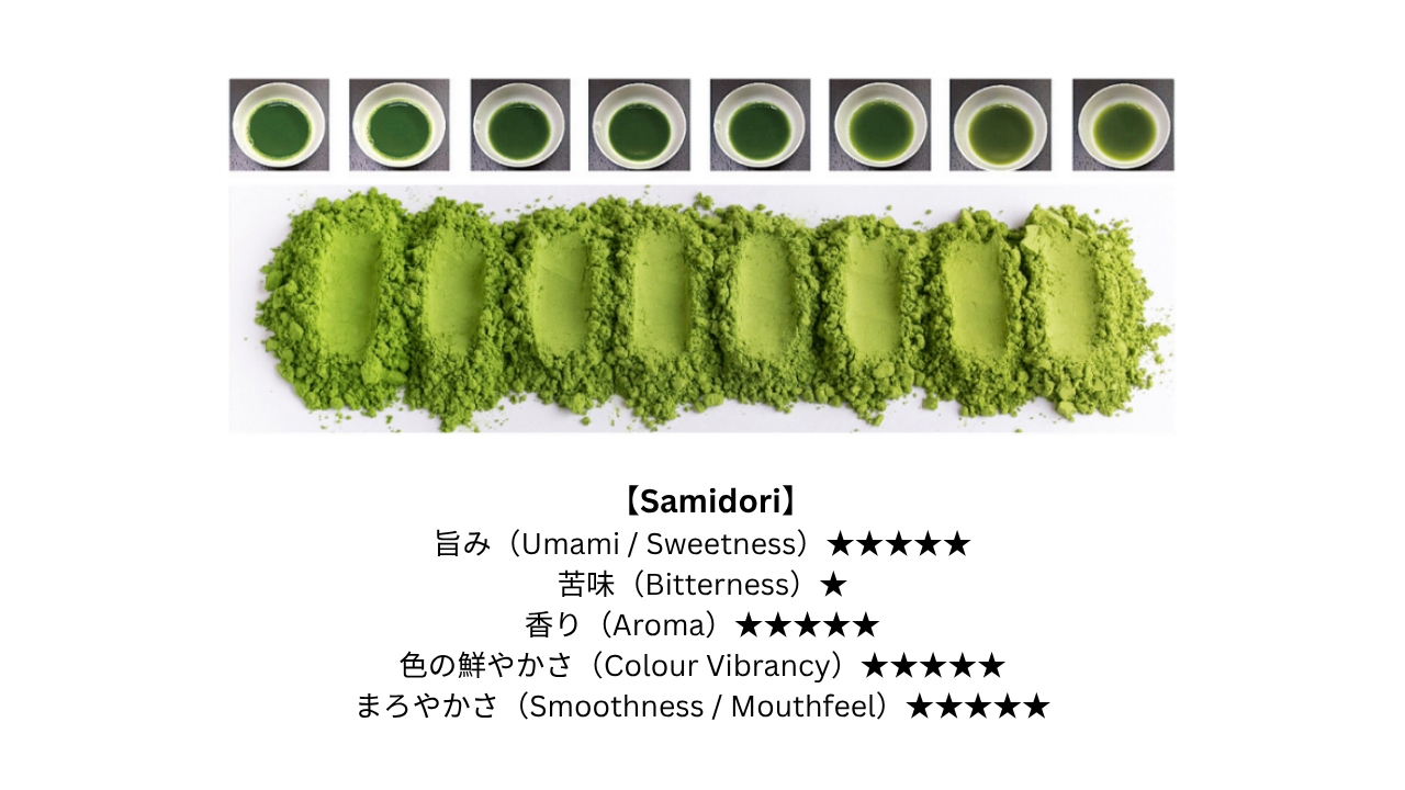 Hand-picked Matcha – Cultivar Samidori “Suiki” (翆起)